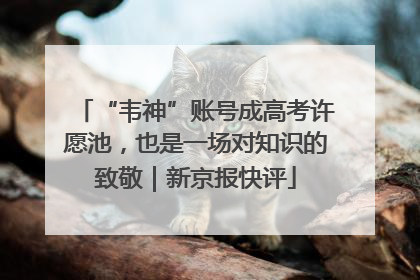 “韦神”账号成高考许愿池，也是一场对知识的致敬｜新京报快评