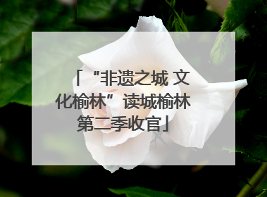 “非遗之城 文化榆林”读城榆林第二季收官