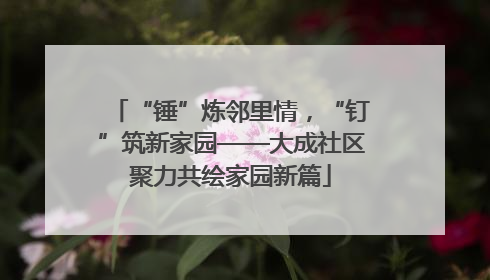 “锤”炼邻里情，“钉”筑新家园——大成社区聚力共绘家园新篇