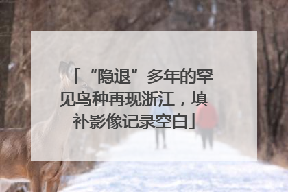 “隐退”多年的罕见鸟种再现浙江，填补影像记录空白