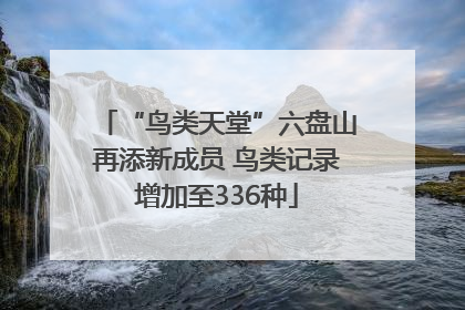 “鸟类天堂”六盘山再添新成员 鸟类记录增加至336种