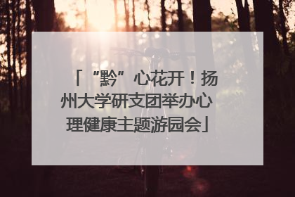 “黔”心花开！扬州大学研支团举办心理健康主题游园会