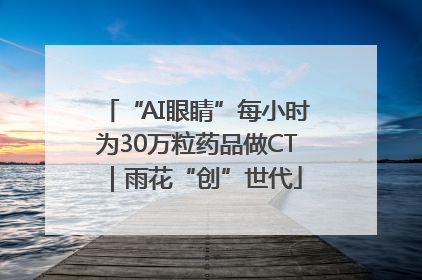 “AI眼睛”每小时为30万粒药品做CT｜雨花“创”世代