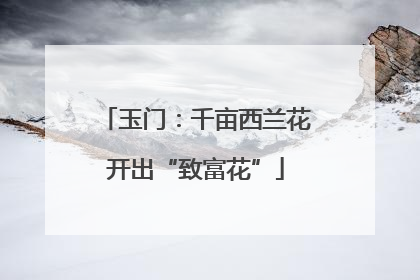 玉门：千亩西兰花开出“致富花”