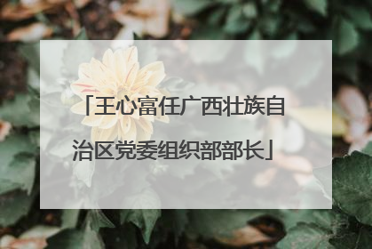 王心富任广西壮族自治区党委组织部部长