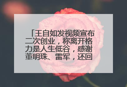 王自如发视频宣布二次创业，称离开格力是人生低谷，感谢董明珠、雷军，还回应了“工资条”：清楚自己要什么……