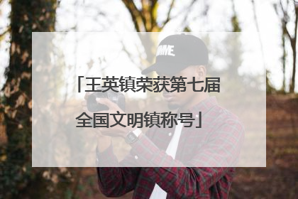 王英镇荣获第七届全国文明镇称号