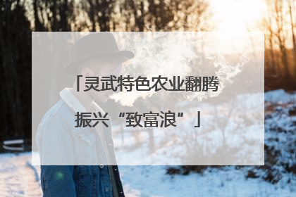 灵武特色农业翻腾振兴“致富浪”