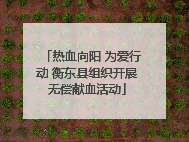 热血向阳 为爱行动 衡东县组织开展无偿献血活动