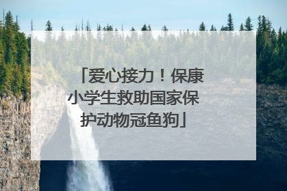 爱心接力！保康小学生救助国家保护动物冠鱼狗