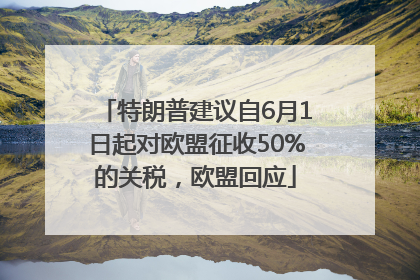 特朗普建议自6月1日起对欧盟征收50%的关税，欧盟回应