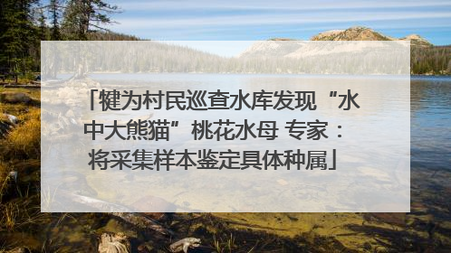 犍为村民巡查水库发现“水中大熊猫”桃花水母 专家：将采集样本鉴定具体种属