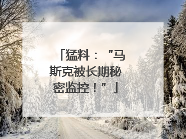 猛料：“马斯克被长期秘密监控！”