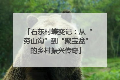 石东村蝶变记：从“穷山沟”到“聚宝盆”的乡村振兴传奇