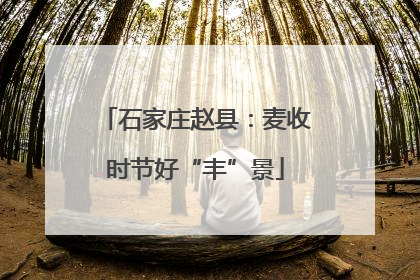 石家庄赵县：麦收时节好“丰”景
