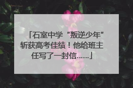石室中学“叛逆少年”斩获高考佳绩！他给班主任写了一封信……