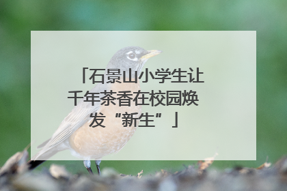 石景山小学生让千年茶香在校园焕发“新生”