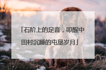 石阶上的足音，叩醒中田村沉睡的屯垦岁月