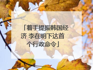着手提振韩国经济 李在明下达首个行政命令