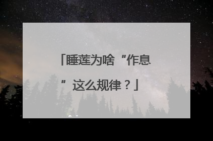 睡莲为啥“作息”这么规律？