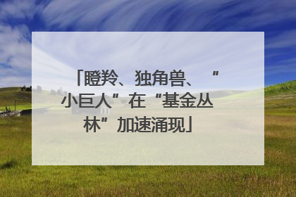 瞪羚、独角兽、“小巨人”在“基金丛林”加速涌现