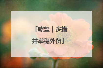 瞭望｜多措并举稳外贸