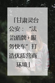 甘肃灵台公安：“法治盾牌+服务快车”打造优质营商环境