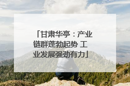 甘肃华亭：产业链群蓬勃起势 工业发展强劲有力