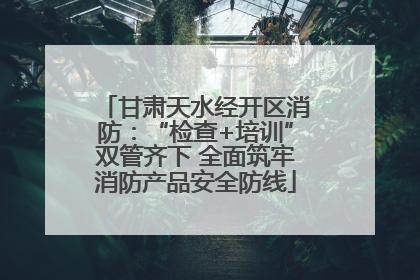 甘肃天水经开区消防：“检查+培训”双管齐下 全面筑牢消防产品安全防线