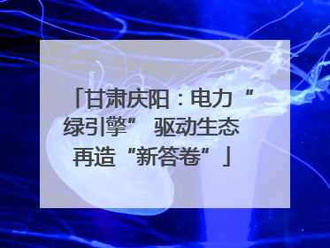 甘肃庆阳：电力“绿引擎” 驱动生态再造“新答卷”