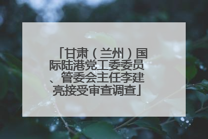 甘肃（兰州）国际陆港党工委委员、管委会主任李建亮接受审查调查