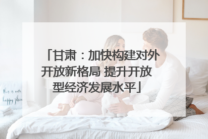 甘肃：加快构建对外开放新格局 提升开放型经济发展水平