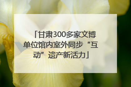 甘肃300多家文博单位馆内室外同步“互动”遗产新活力
