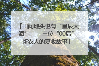 田间地头也有“星辰大海”——三位“00后”新农人的夏收故事