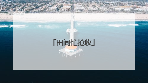 田间忙抢收