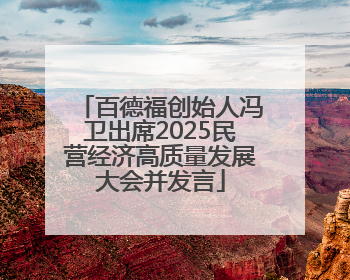 百德福创始人冯卫出席2025民营经济高质量发展大会并发言