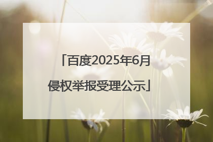 百度2025年6月侵权举报受理公示