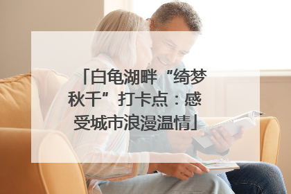白龟湖畔“绮梦秋千”打卡点：感受城市浪漫温情