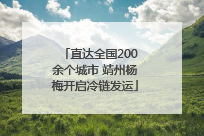 直达全国200余个城市 靖州杨梅开启冷链发运