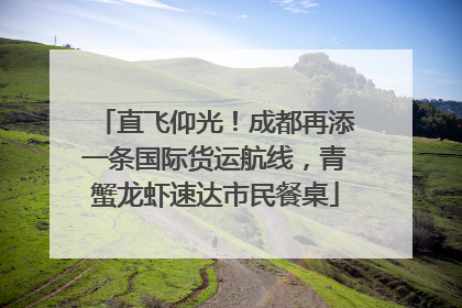 直飞仰光！成都再添一条国际货运航线，青蟹龙虾速达市民餐桌