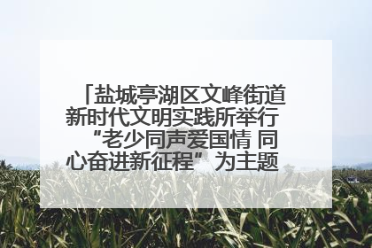 盐城亭湖区文峰街道新时代文明实践所举行“老少同声爱国情 同心奋进新征程”为主题的红色文化活动