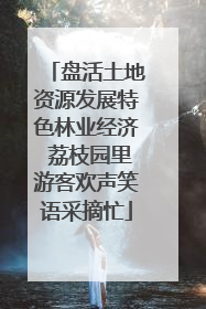 盘活土地资源发展特色林业经济 荔枝园里游客欢声笑语采摘忙