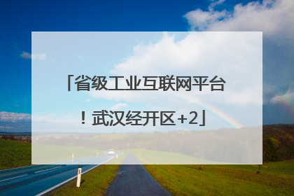 省级工业互联网平台！武汉经开区+2