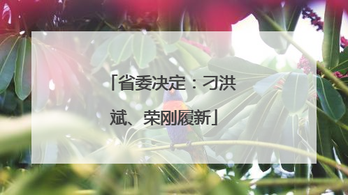 省委决定：刁洪斌、荣刚履新