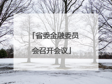 省委金融委员会召开会议