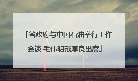 省政府与中国石油举行工作会谈 毛伟明戴厚良出席