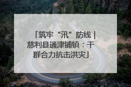 筑牢“汛”防线｜慈利县通津铺镇：干群合力抗击洪灾