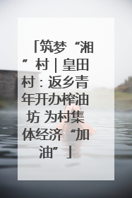 筑梦“湘”村｜皇田村：返乡青年开办榨油坊 为村集体经济“加油”