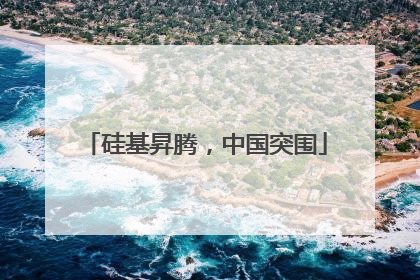 硅基昇腾，中国突围