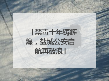 禁毒十年铸辉煌，盐城公安启航再破浪